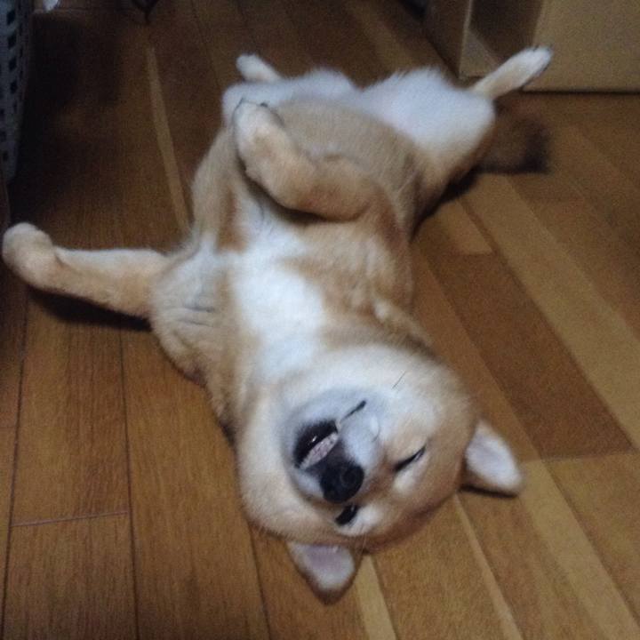 2fd93a88 0c32 4bf1 bcb6 c54cbf9175b0