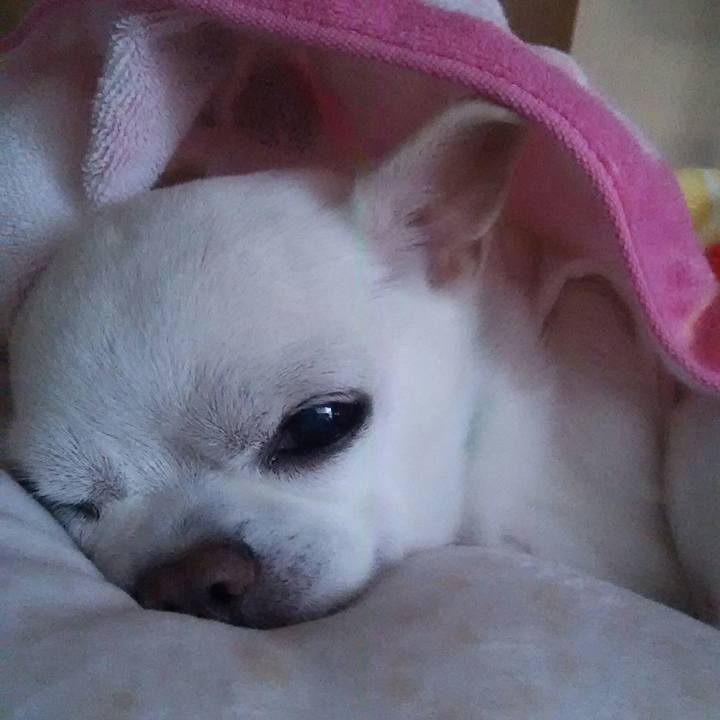 2fd967b1 6dd9 4537 8ad2 2183cb5ab12f