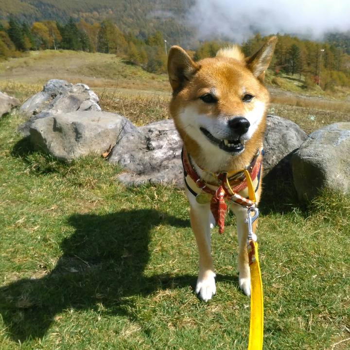 2fd9e128 8262 4966 8b82 5db3859acc55