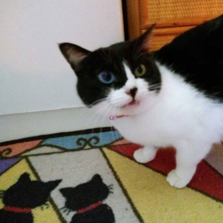 2fd9eb92 0220 4050 acc0 c9fb88f71b54