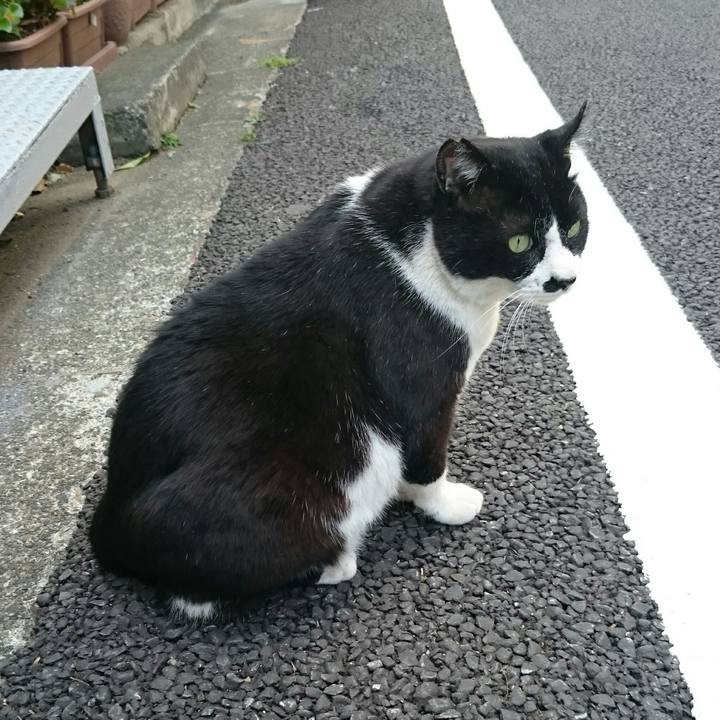 2fda1573 16a0 47db 892f 54125416c6b0