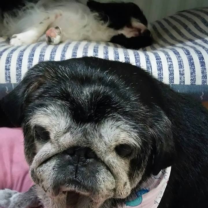 2fda86fd 28e7 4c70 a5ab 8262b1fd2a5b