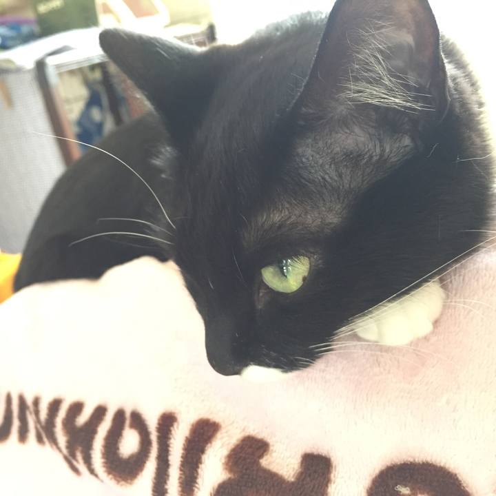 2fdae62a b96a 4a32 b4d5 b4665eec4dd1