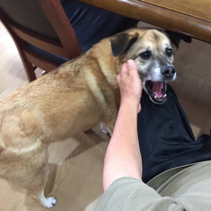 2fdb3dbd 8c45 4446 bc2c 98aafe0e69f1