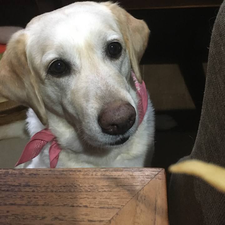 2fdb4db8 e404 45a4 b208 4806469be150