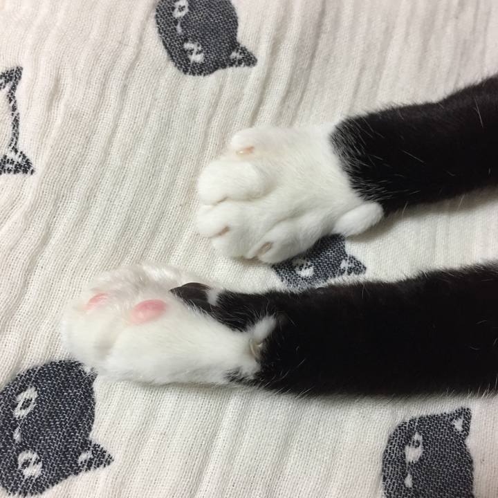 2fdbff68 2c92 4de9 b625 8316f014ba8e