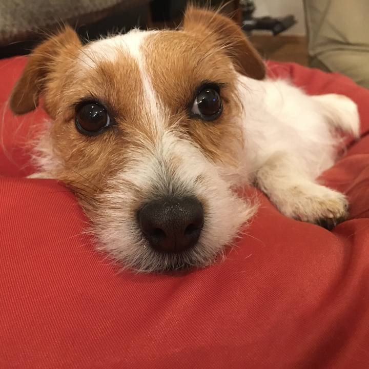 2fdc2312 16a2 4512 be05 9764a8cdccbc