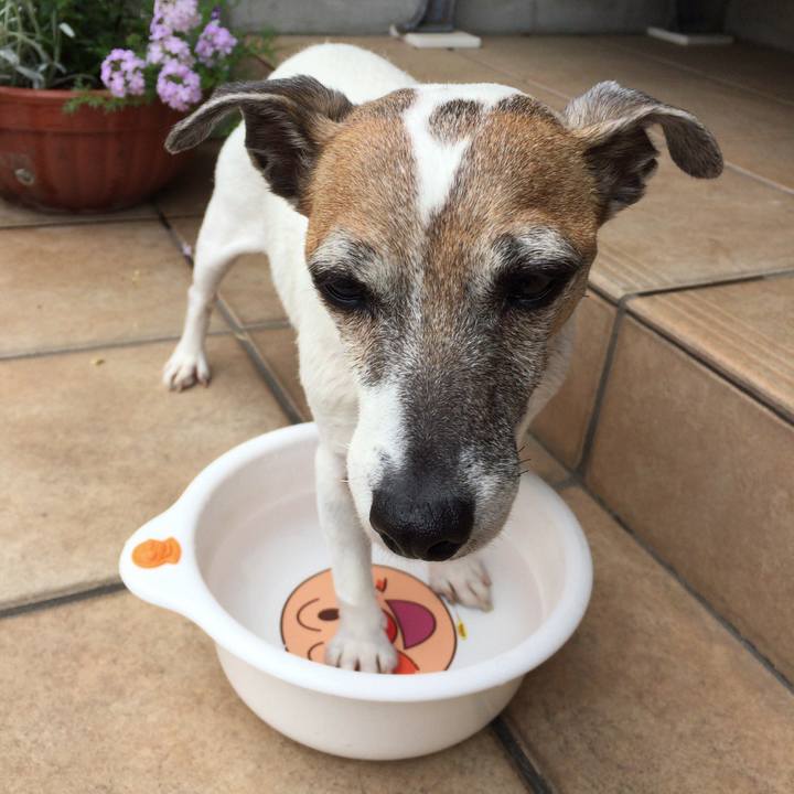 2fdc662d 7ca0 4e3b a385 7e781c265dd3