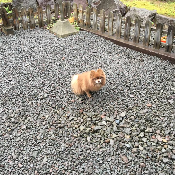 2fdca415 c8de 4c58 824c f18d457d9e32