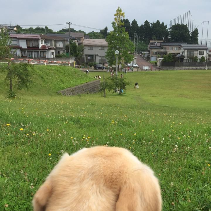 2fdd3fd5 3bea 4e0a 8211 f7d158db6d39