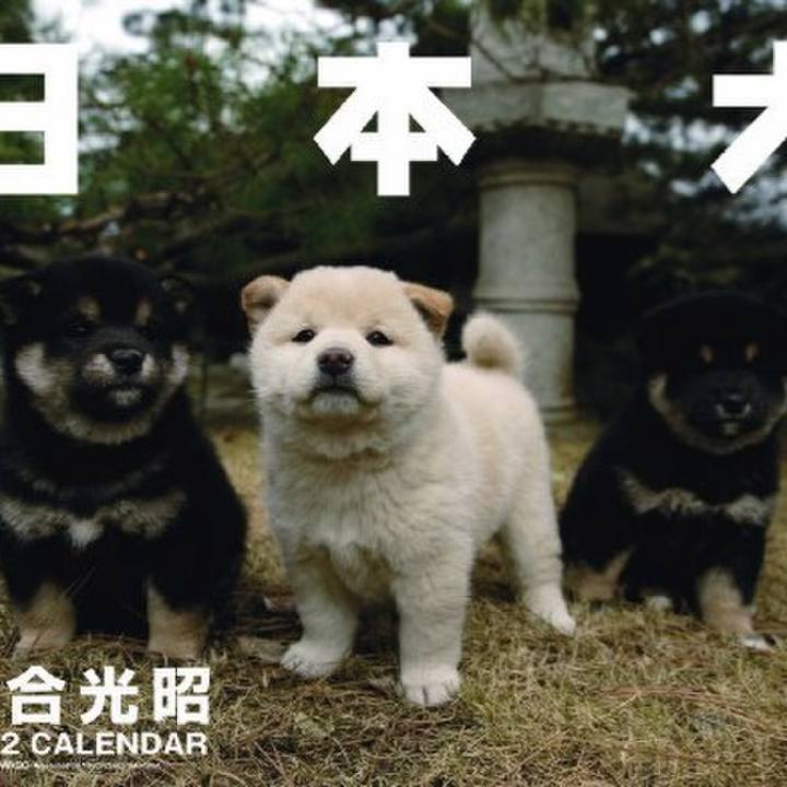 2fdee733 1d65 4023 ade3 345250a5a8c5