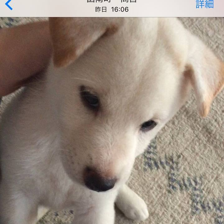 2fdf300c 1278 421d 949f 9f1566e6ceca