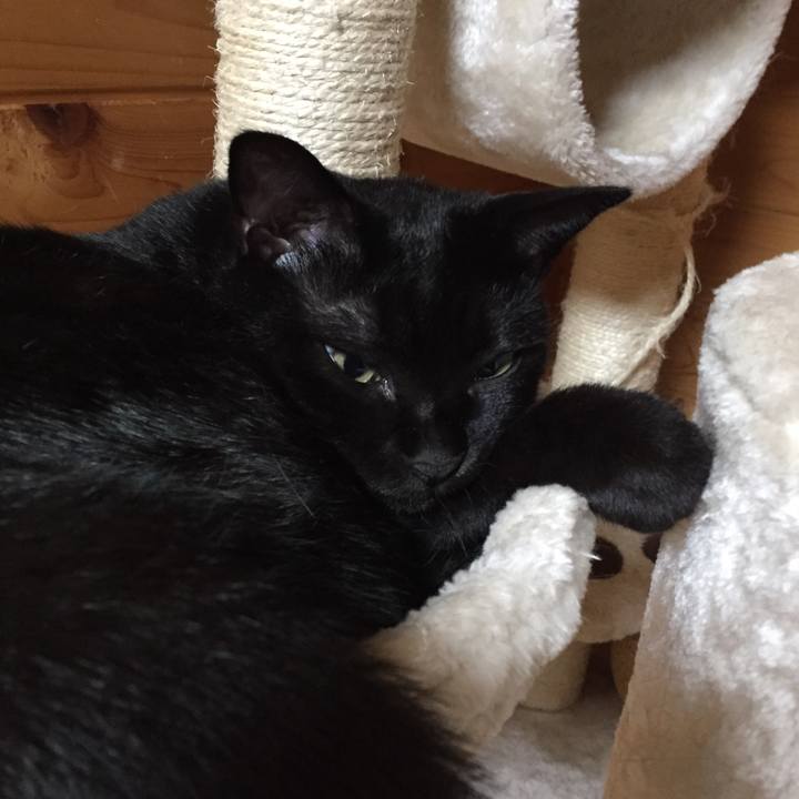 2fdf4682 1daa 4af8 9a52 1849314a17d2