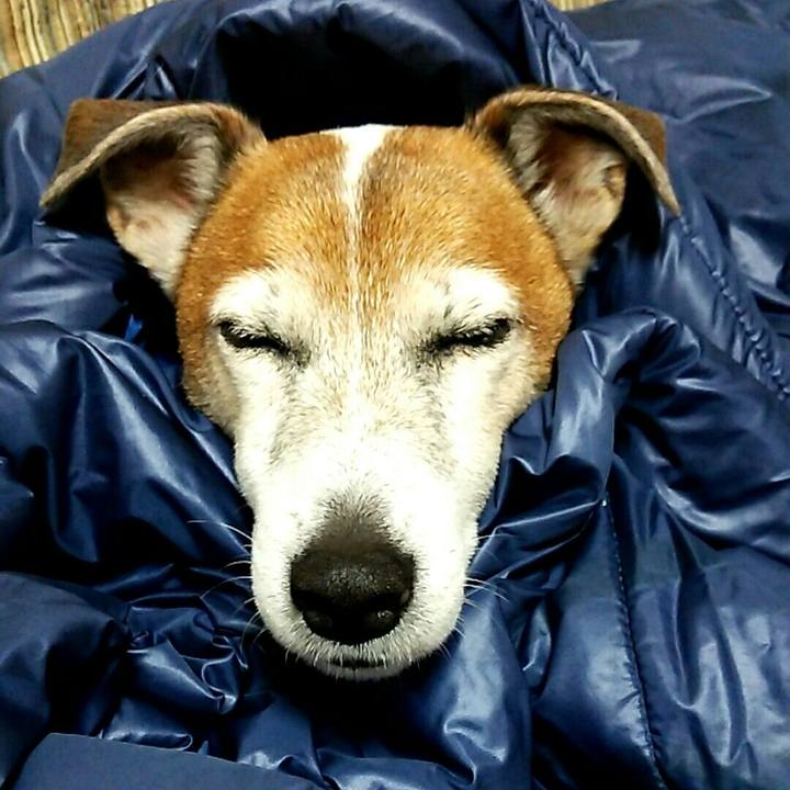 2fdf83e3 d211 49b0 a539 d466b58cb6f1