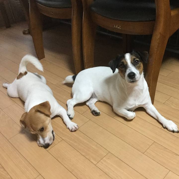 2fdf9411 3e62 41ac b6b7 542039fe9522