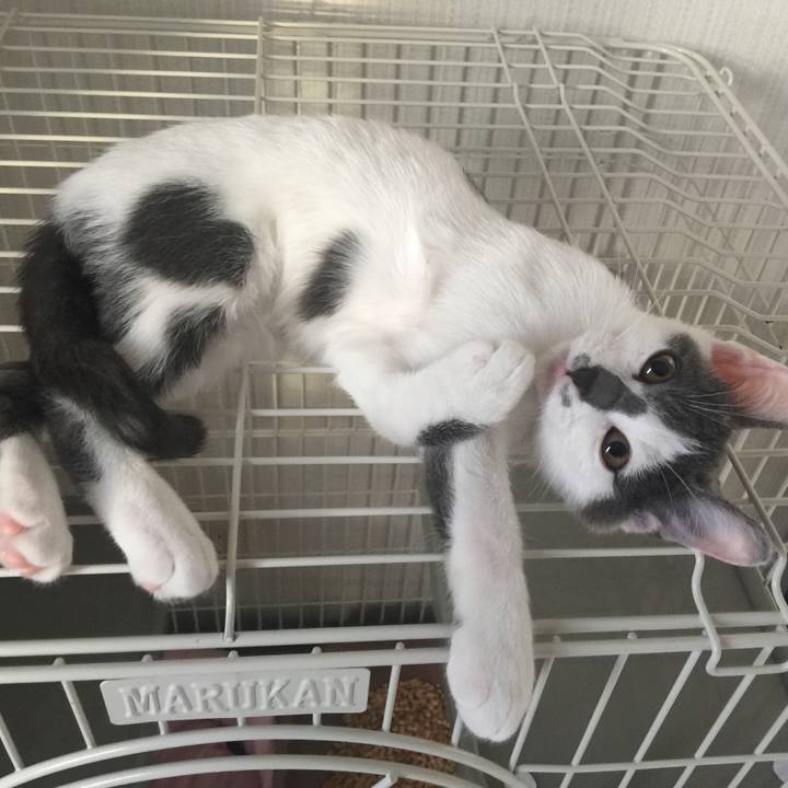 2fe06f7a b17e 4d54 809f e86a0241124e