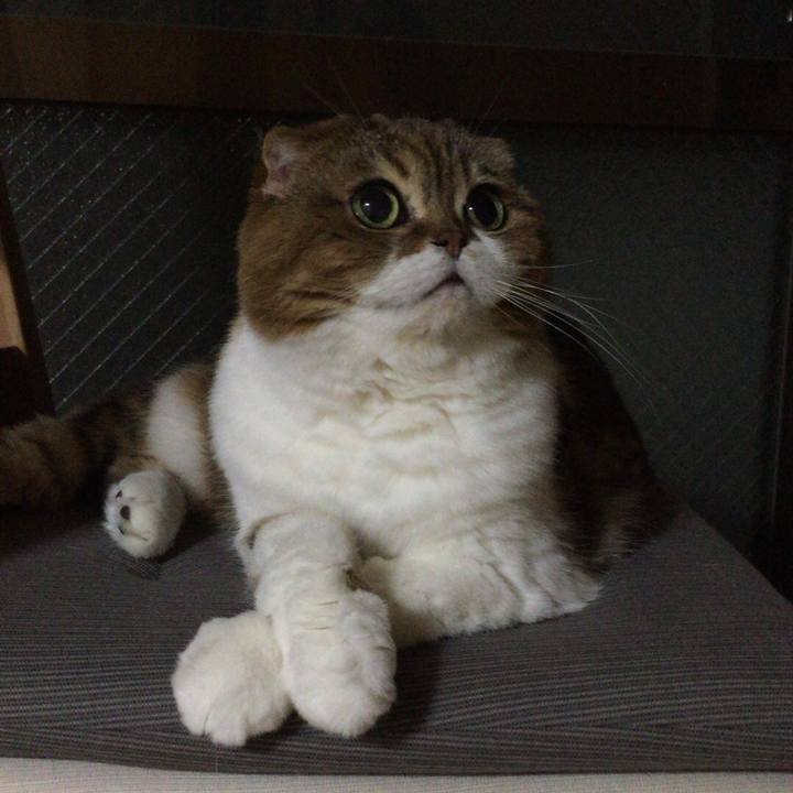 2fe12a1f d0ec 4eff a5d2 40f047e6676e