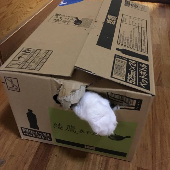 2fe17a74 d1e8 4d00 9eab 7a6450f99bc0