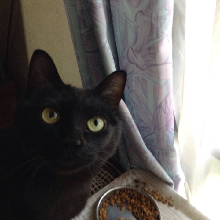 2fe1f0a5 f637 4aed 8cee 5a4501149c77