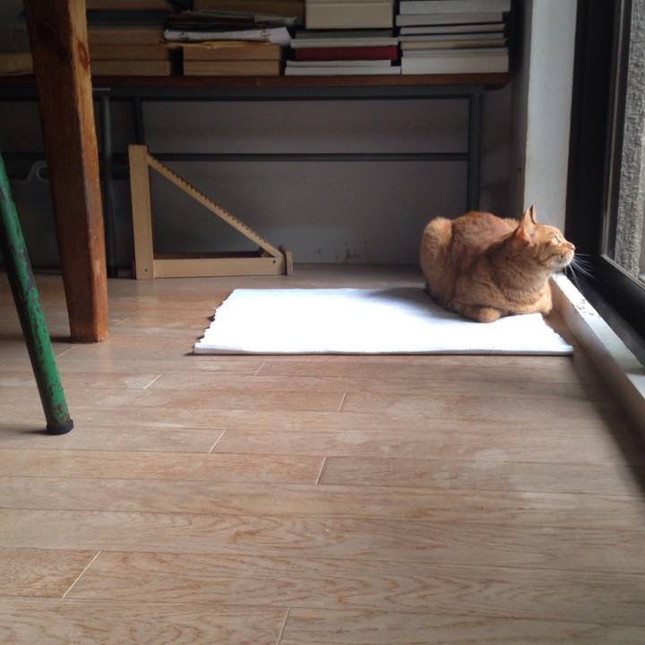 2fe221d8 e9c4 42d9 b53e f9cd1d71196d