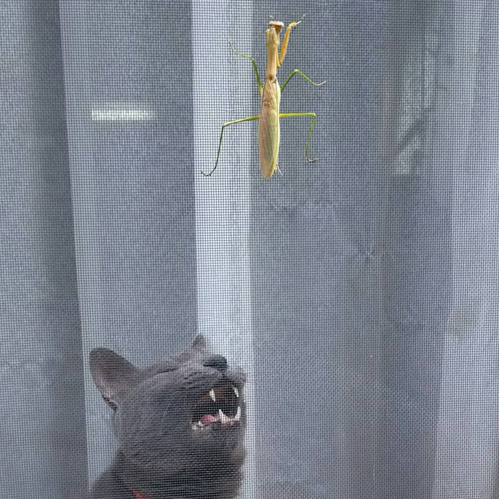 2fe228e0 fdee 4cc9 b858 322a1e43aa06