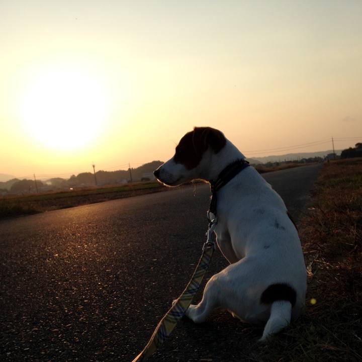 2fe2856a 7f79 4f57 accb ebca4436625e