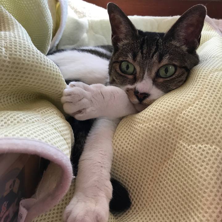 2fe2ba2c 35ce 483f a949 2c4547b1f548