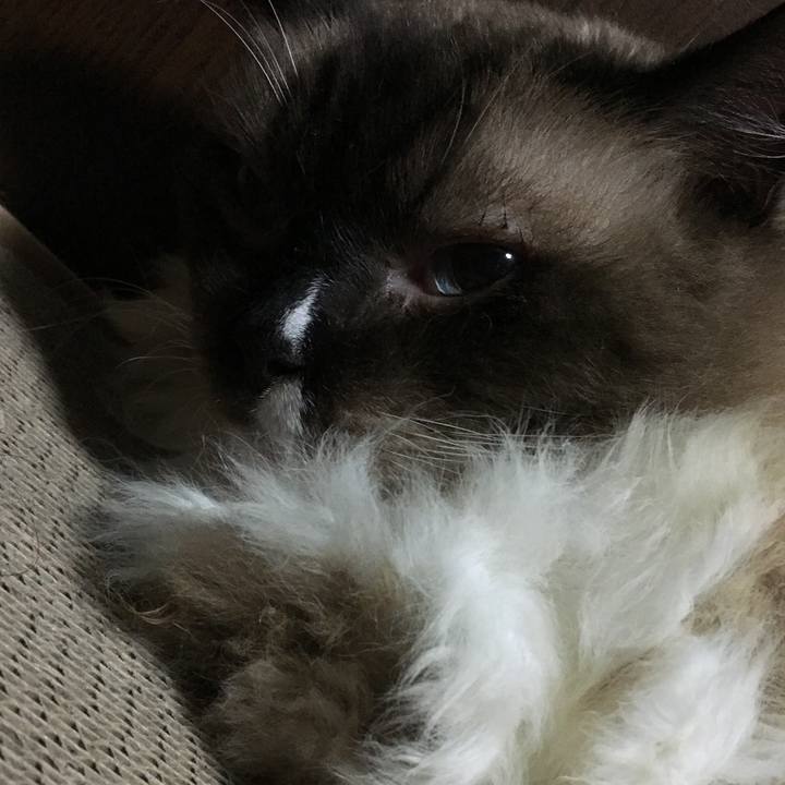 2fe3d1e8 6a94 4615 bfb6 764a0a624742