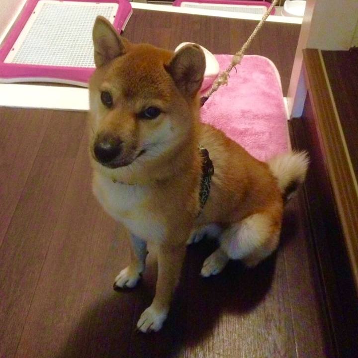 2fe471ef 25e1 4c86 baf0 599d4329ccec