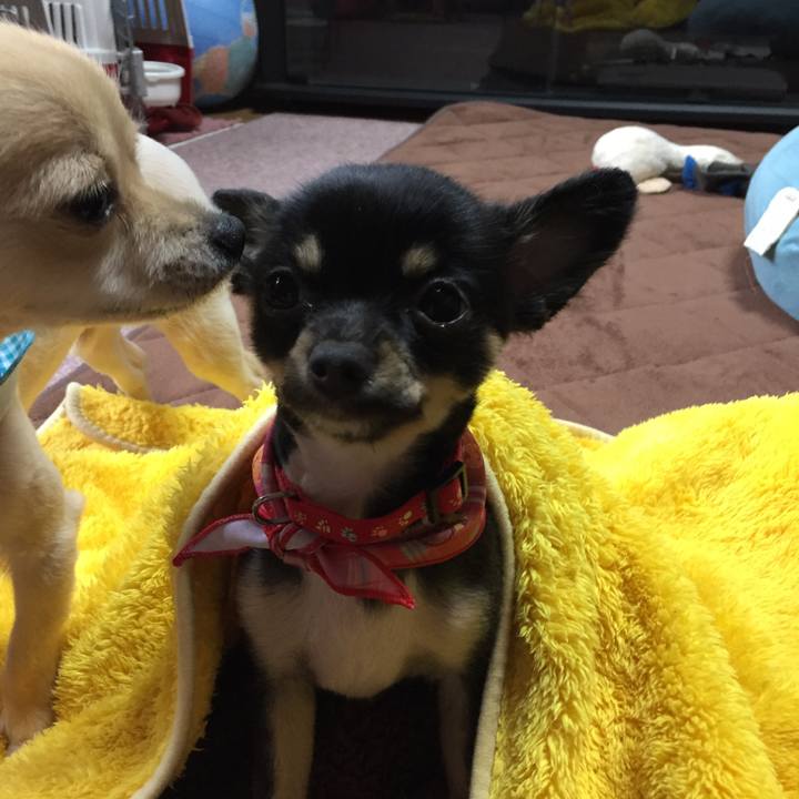 2fe4db78 5dc2 4816 8d48 ea53c7bc1b02