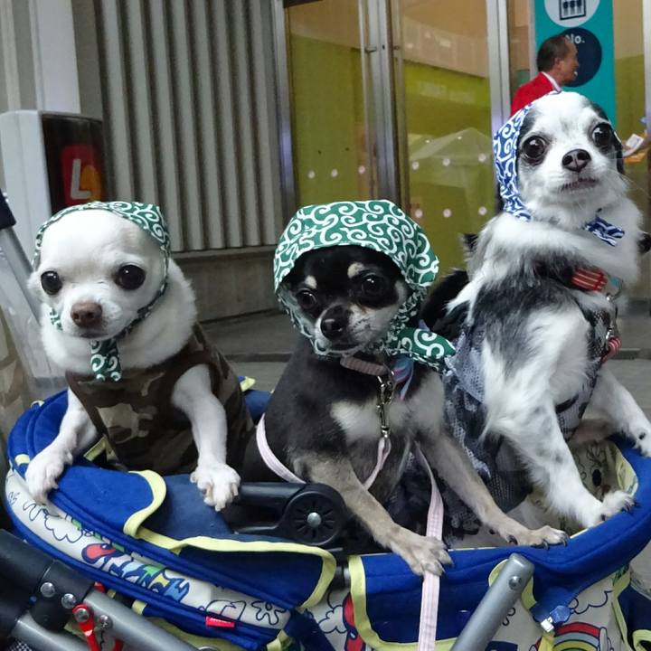 2fe58eac 8ea2 412c 80e9 dc852c9fc824