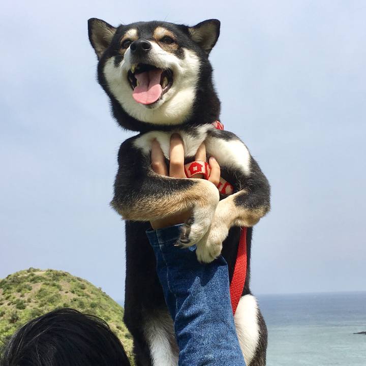 2fe5d42f d41a 487c b69b 066c5271a8bb