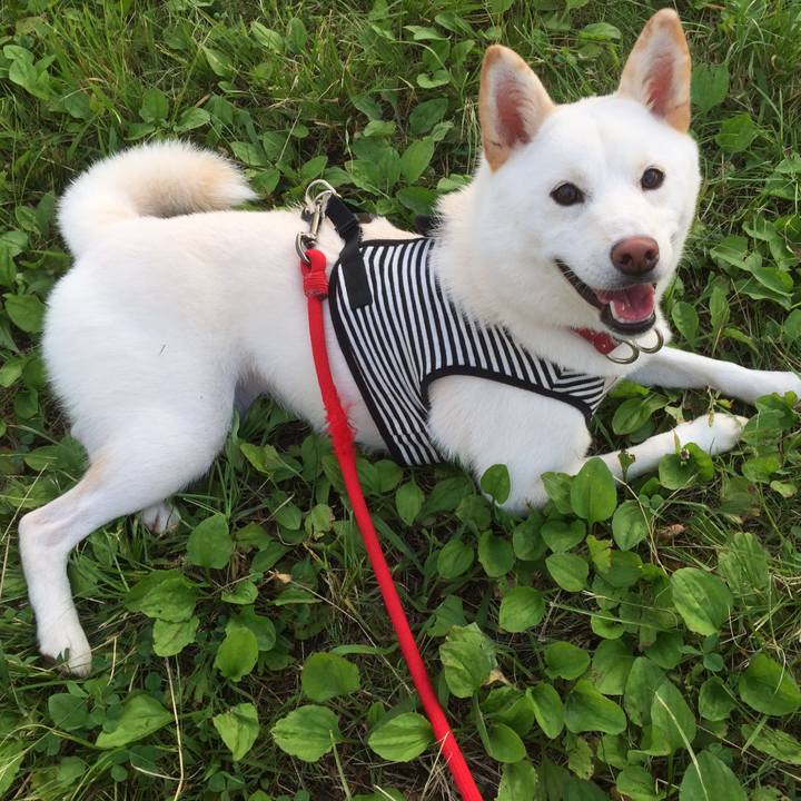 2fe5e41a 09a6 476e 9843 9bfdb505142b