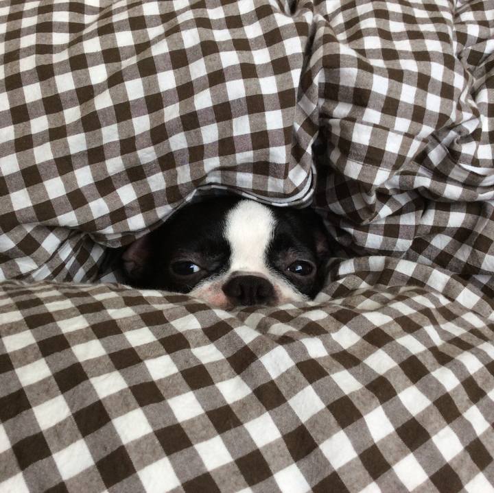 2fe60b48 403a 45d4 b5c0 e12b6178ce7d