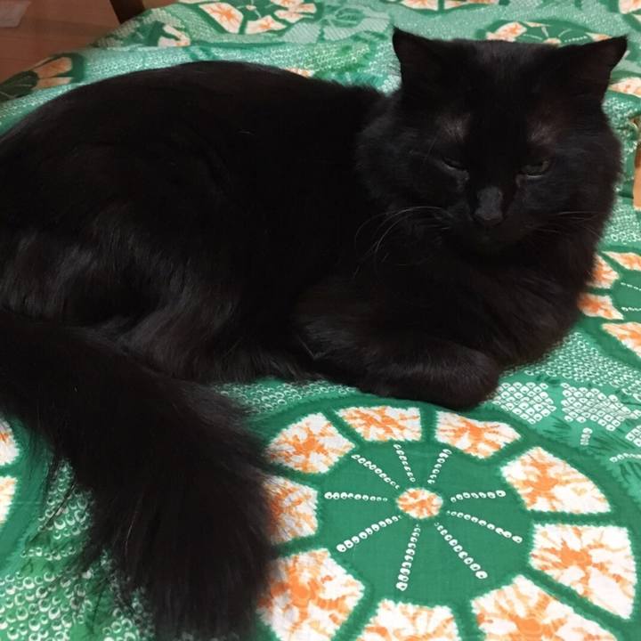 2fe65c3d 15de 4dc5 a9bd 80765197e6e6