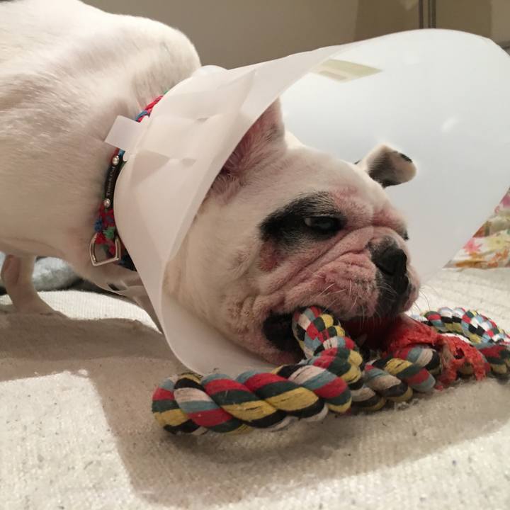 2fe6ba89 07ed 4f60 9923 aa909157e976