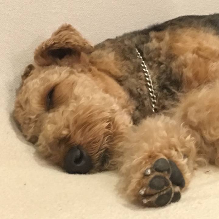 2fe70de8 995d 4f7e 8b1f a459042f1b4d