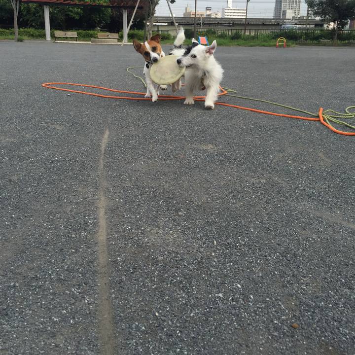 2fe7269a a28f 49b4 a731 c97394fb689d