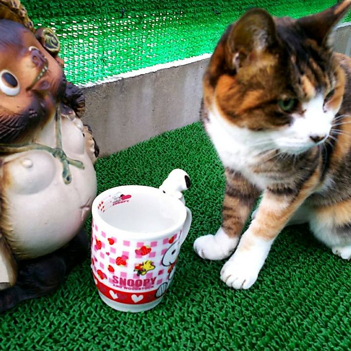 2fe7eeb2 4cb4 4819 ae87 2fe4f254cadd