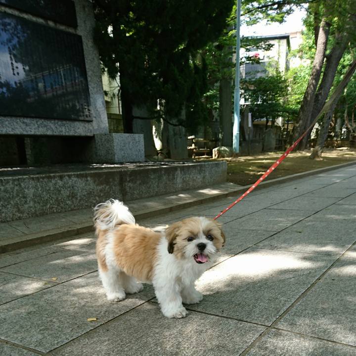 2fe7f3dd 4b6d 4804 8aaf c48388aed790