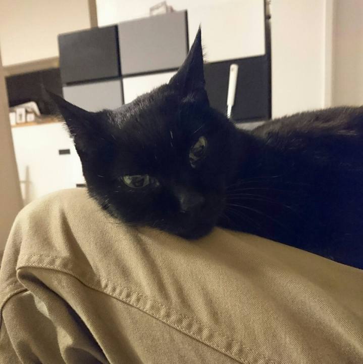 2fe8679b 5f1a 42ad 83e2 b1d472c8848c