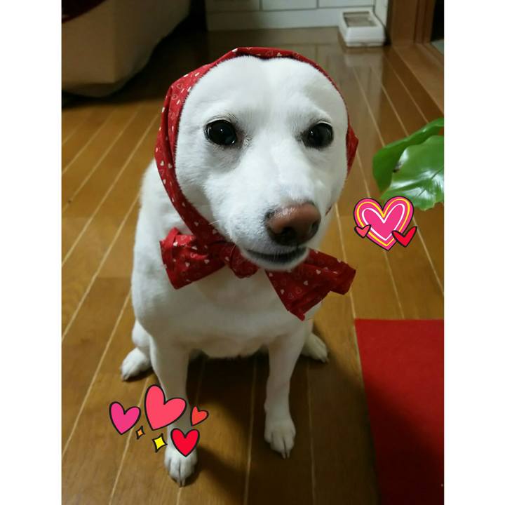 2fe89345 d772 41e3 ab42 ac34c023f276