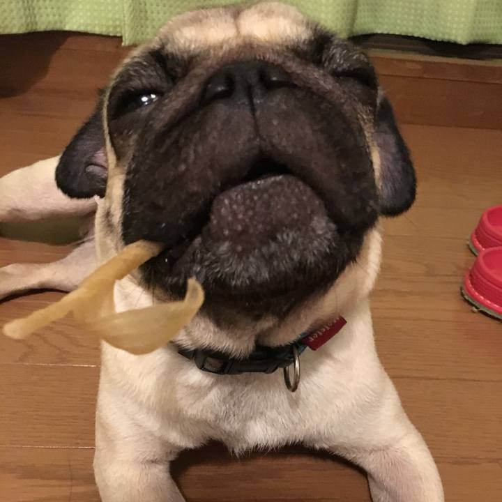 2fe89ef0 4d10 403d b78e f9d8fbe0cf70