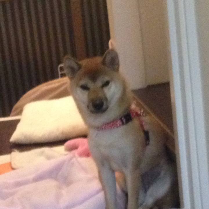 2fe8a173 d3c1 404b bf96 38b26e199c77