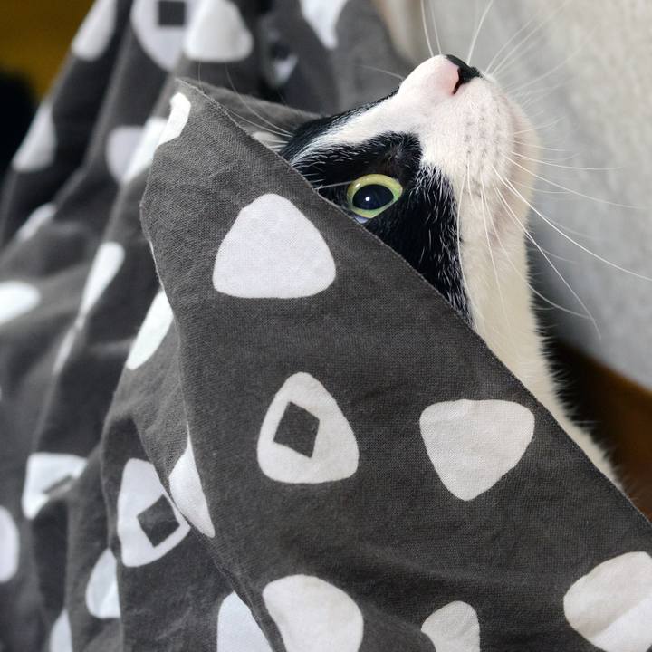 2fe98578 b54b 4d36 984e 3955b84ed8b0