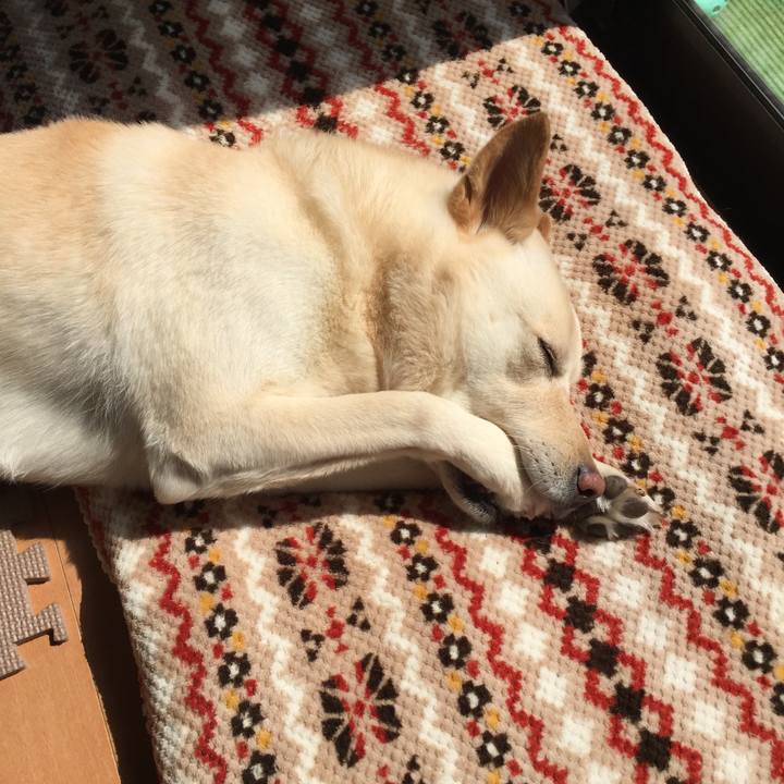 2fe99cbc 104e 45ae 8e11 4084af003c73