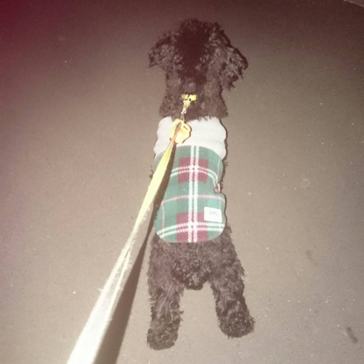 2fe9a86c 52f1 4dc3 8bad fc8da86f502f