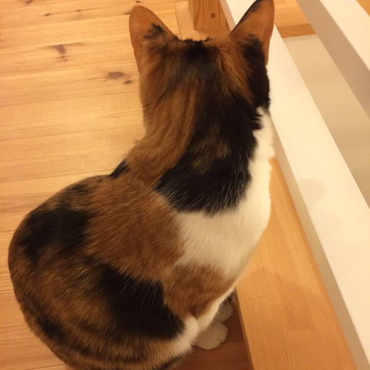 2fe9e1f7 c404 4efd 824a 24d69f07ffbf