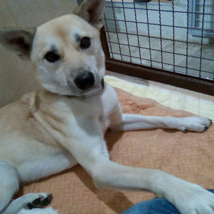 2feae2bf 4917 439d a626 f976f58328aa