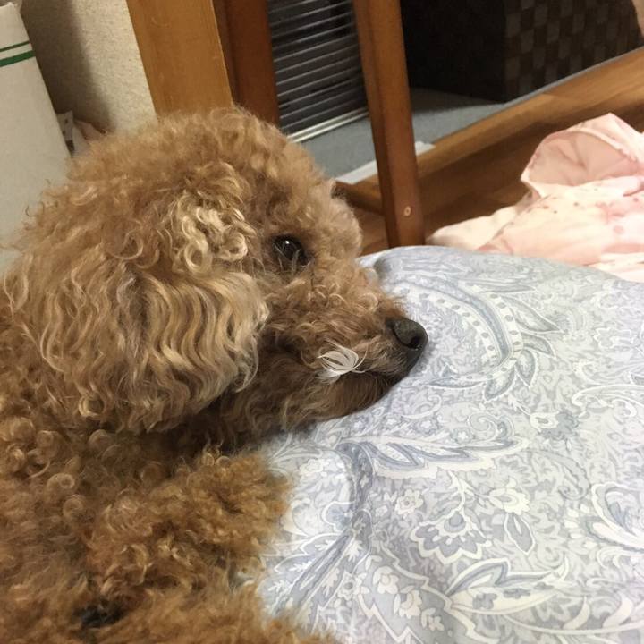 2feb19cc d33c 4c5f 9693 c38670b6f2b6